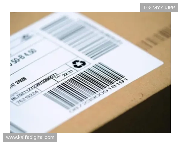 k8凯发数字站安全保障措施详解确保玩家资金与个人信息安全无忧